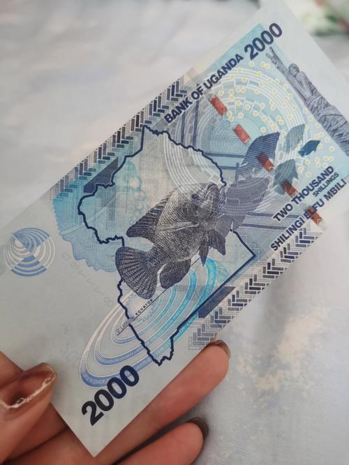 乌干达货币