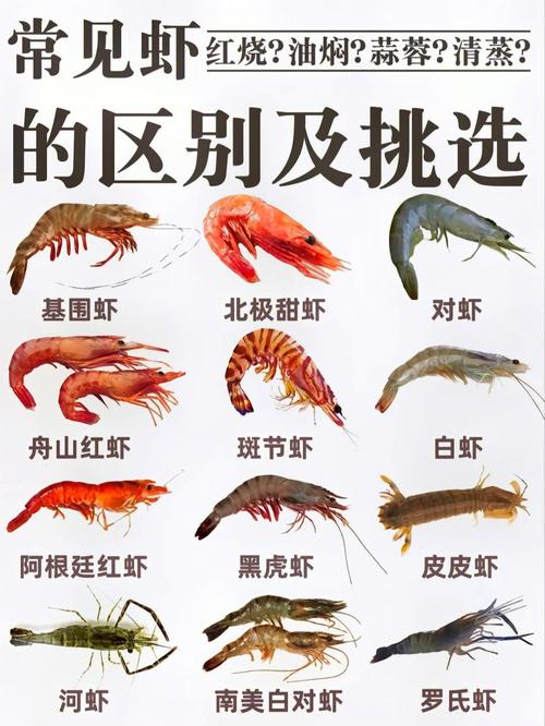 基围虾和罗氏虾的区别