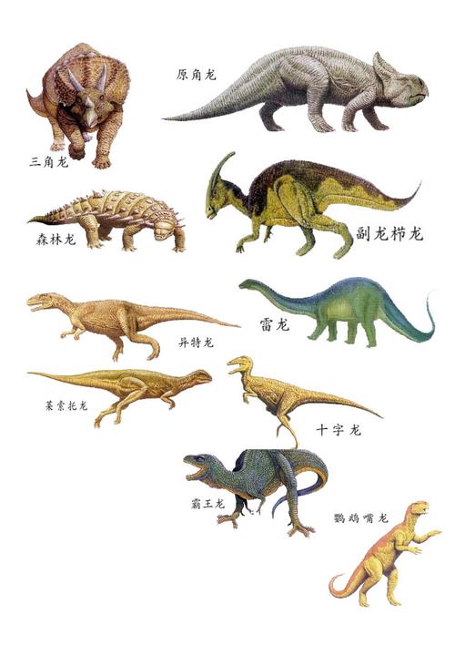 恐龙的种类