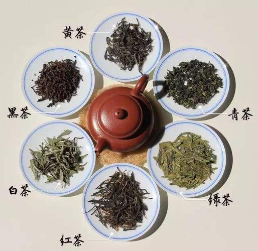 茶叶的品种