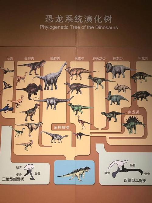 恐龙进化史的相关图片