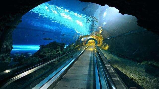 最长的海底隧道的相关图片