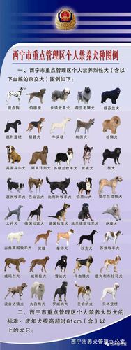 河南禁养犬名单的相关图片