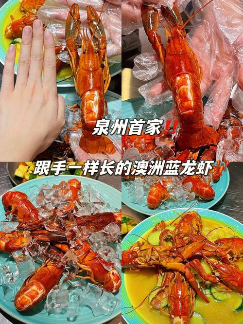 澳洲龙虾的做法的相关图片