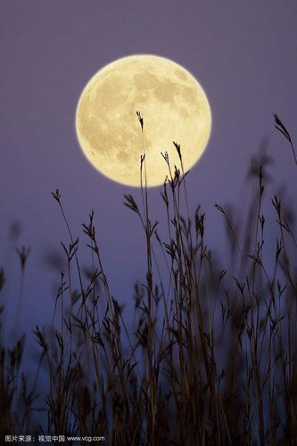 秋天的月亮的相关图片