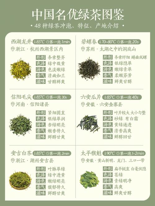 绿茶哪种好的相关图片