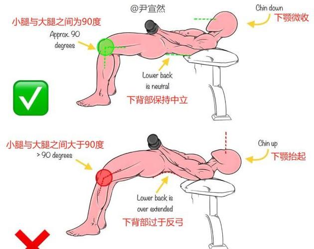 臀部肌肉锻炼方法的相关图片