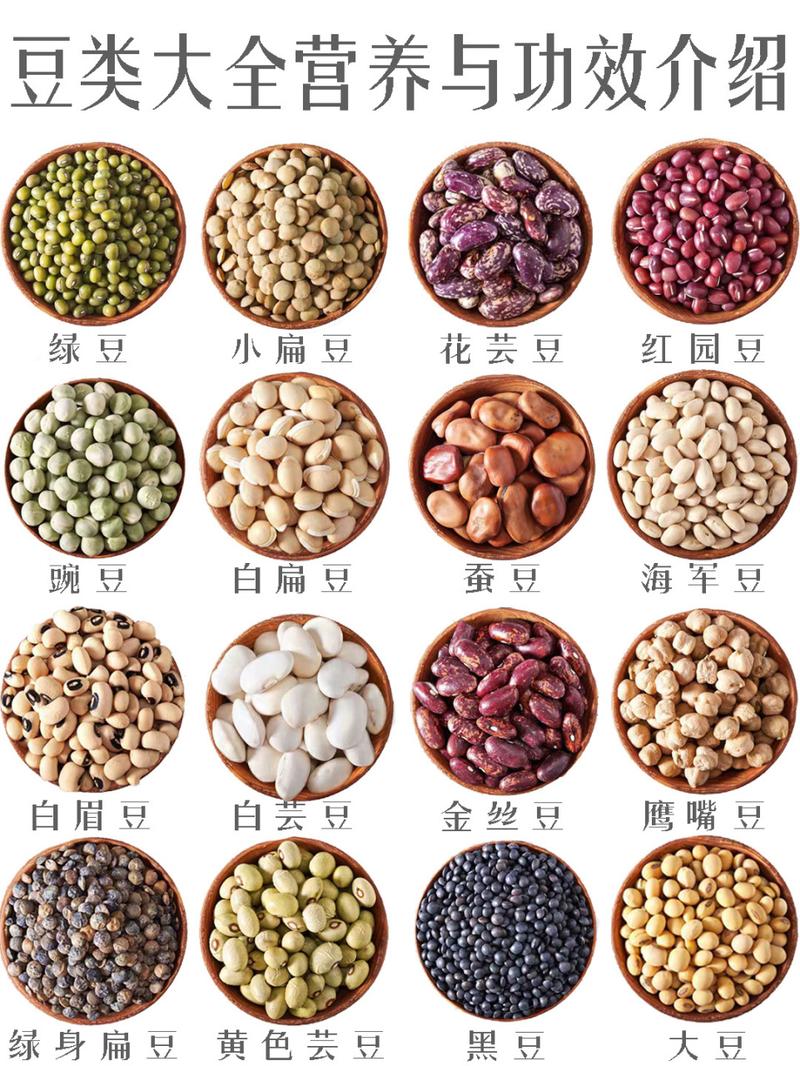 豆子的种类的相关图片