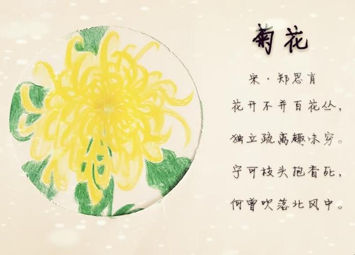 赞美菊花的古诗的相关图片