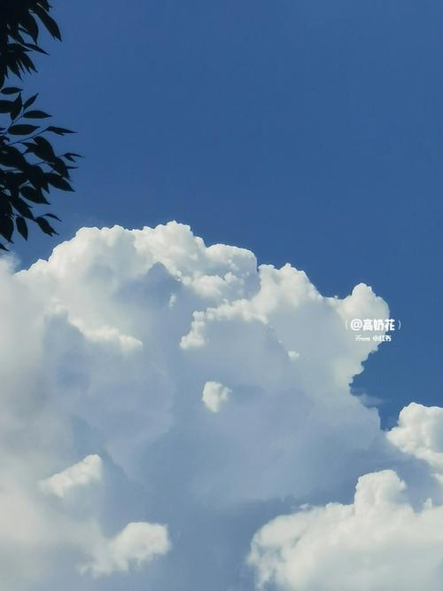 风里面一个云的相关图片